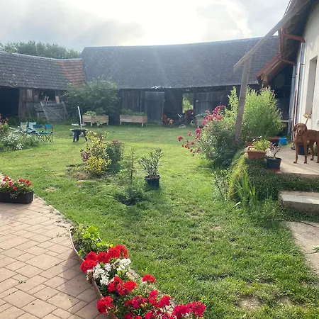Accommodatie bij particulieren Podkrovni Pro 1-5 Osob